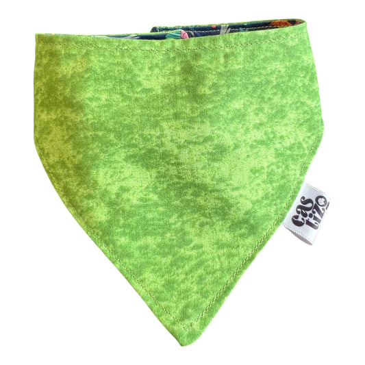 Bandana “Rick y Morty”