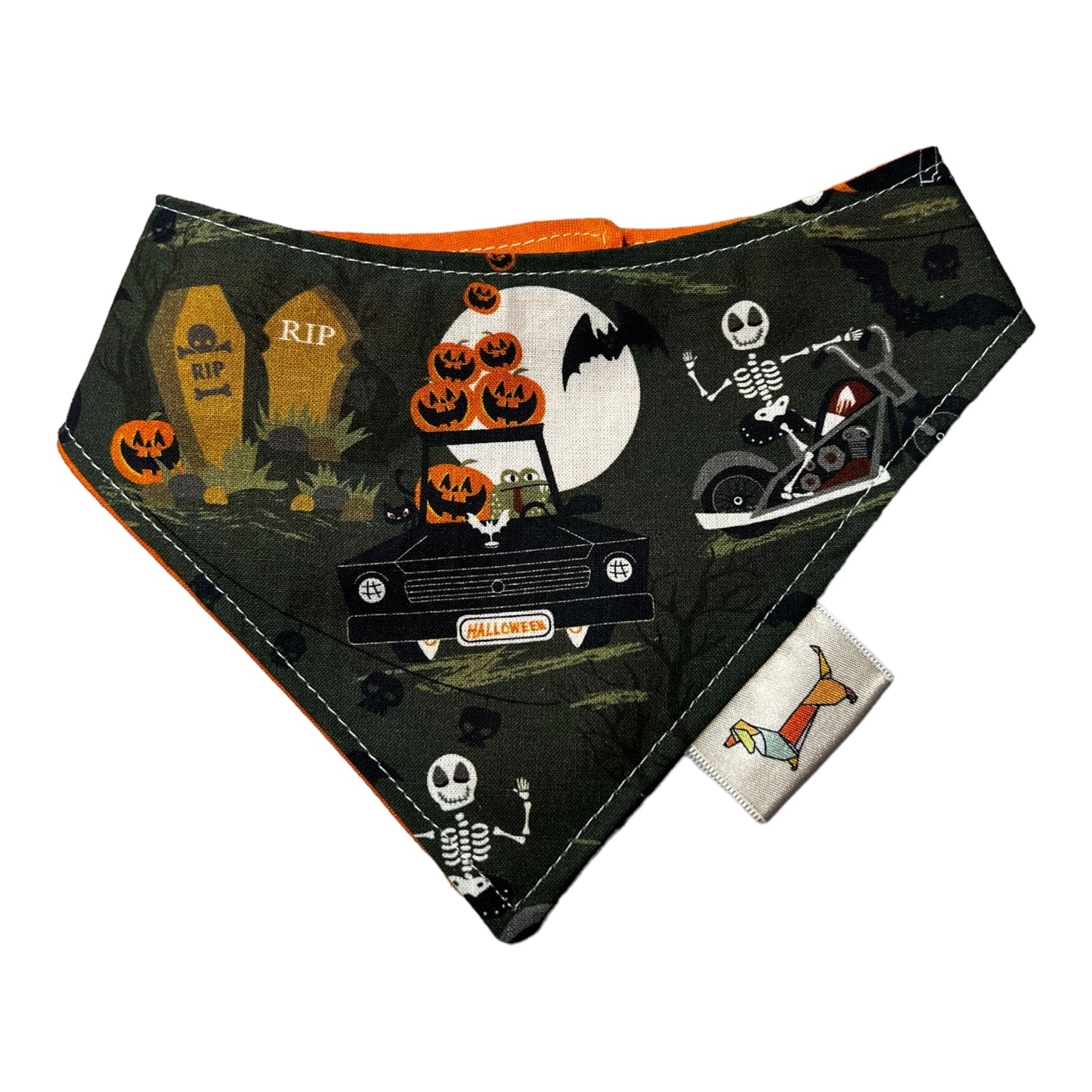 Bandana “Terri-rip-fica”