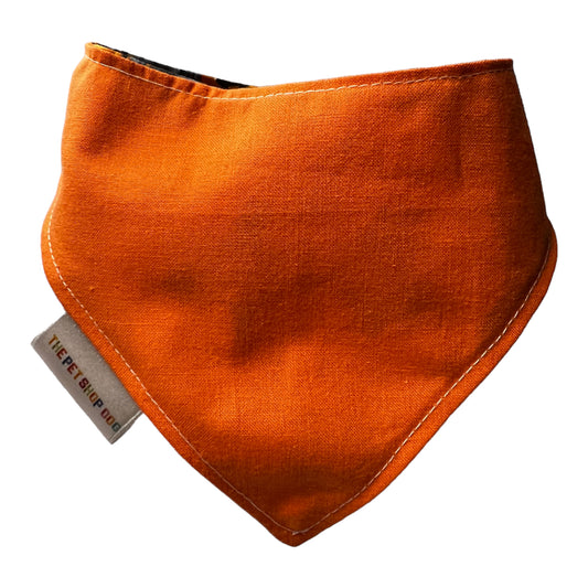 Bandana “Pumpkins”