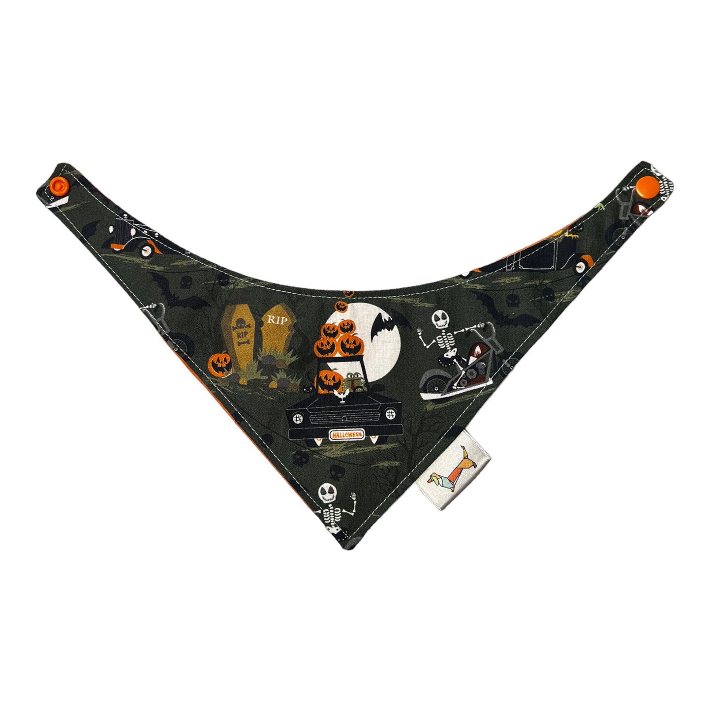 Bandana “Terri-rip-fica”