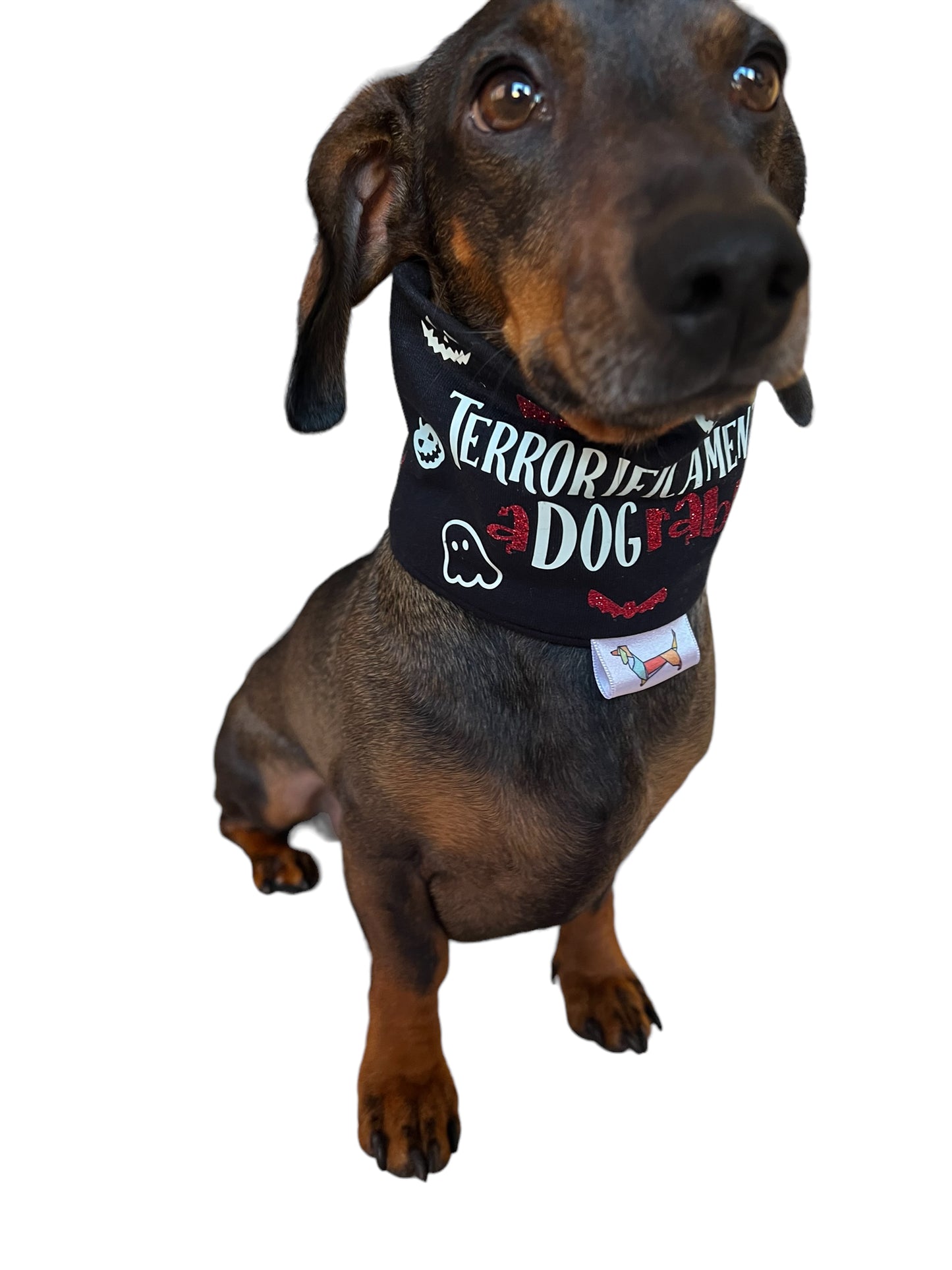 Bufanda Midi “Terrorificamente Adograble”