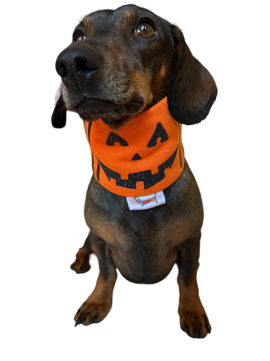 Bufanda Midi “Calabacita”