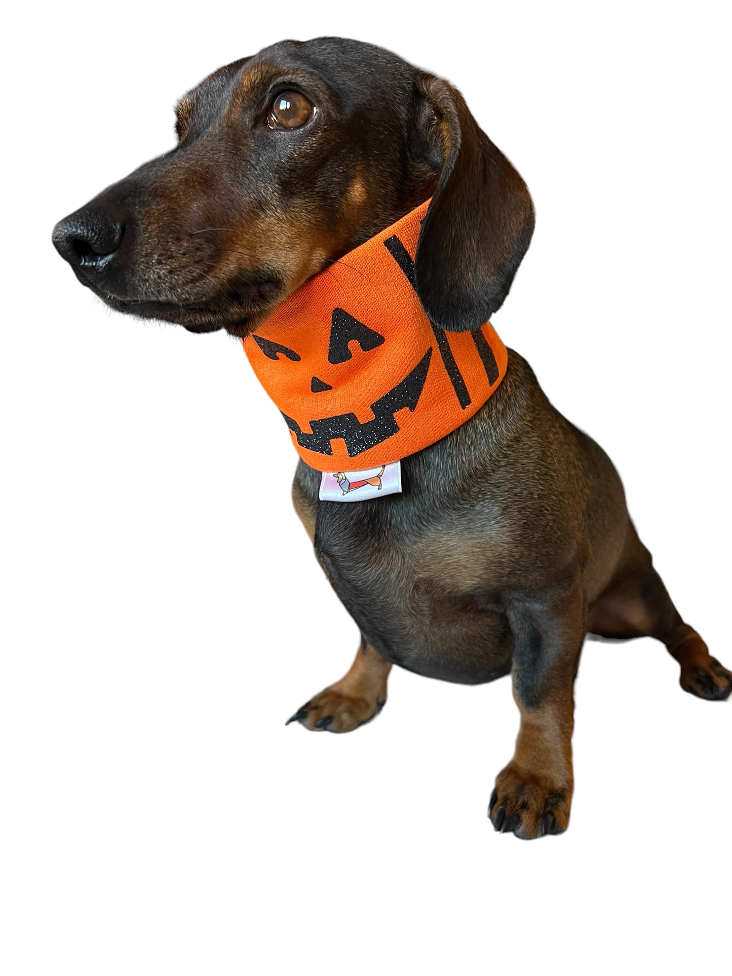 Bufanda Midi “Calabacita”