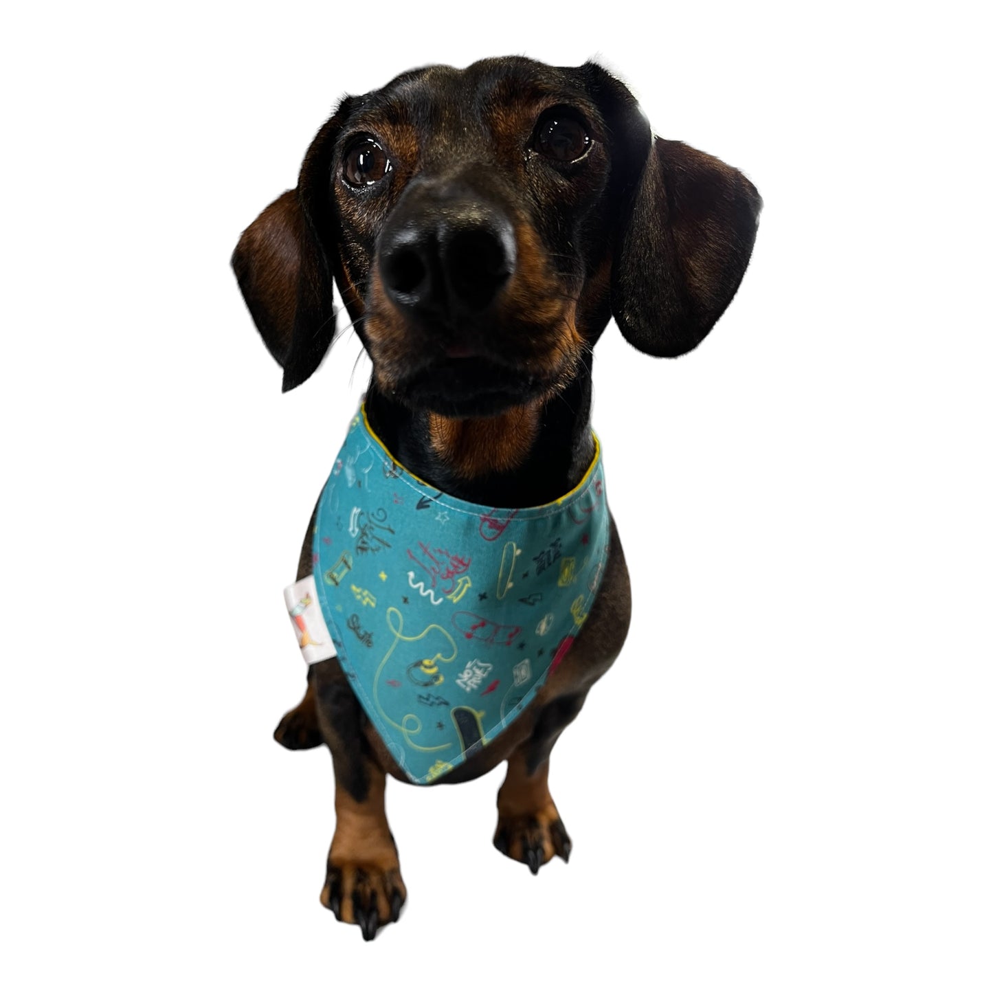 Bandana “Let’s Skate”