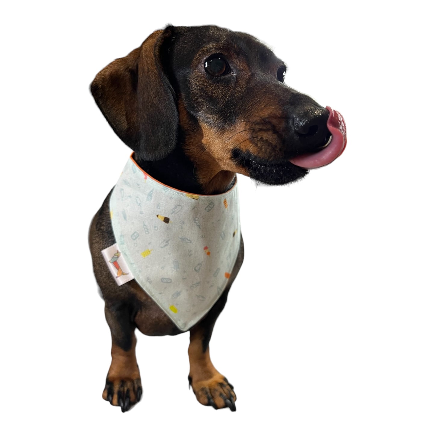 Bandana “Colajet”