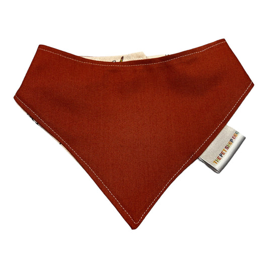 Bandana “Gaticornios”