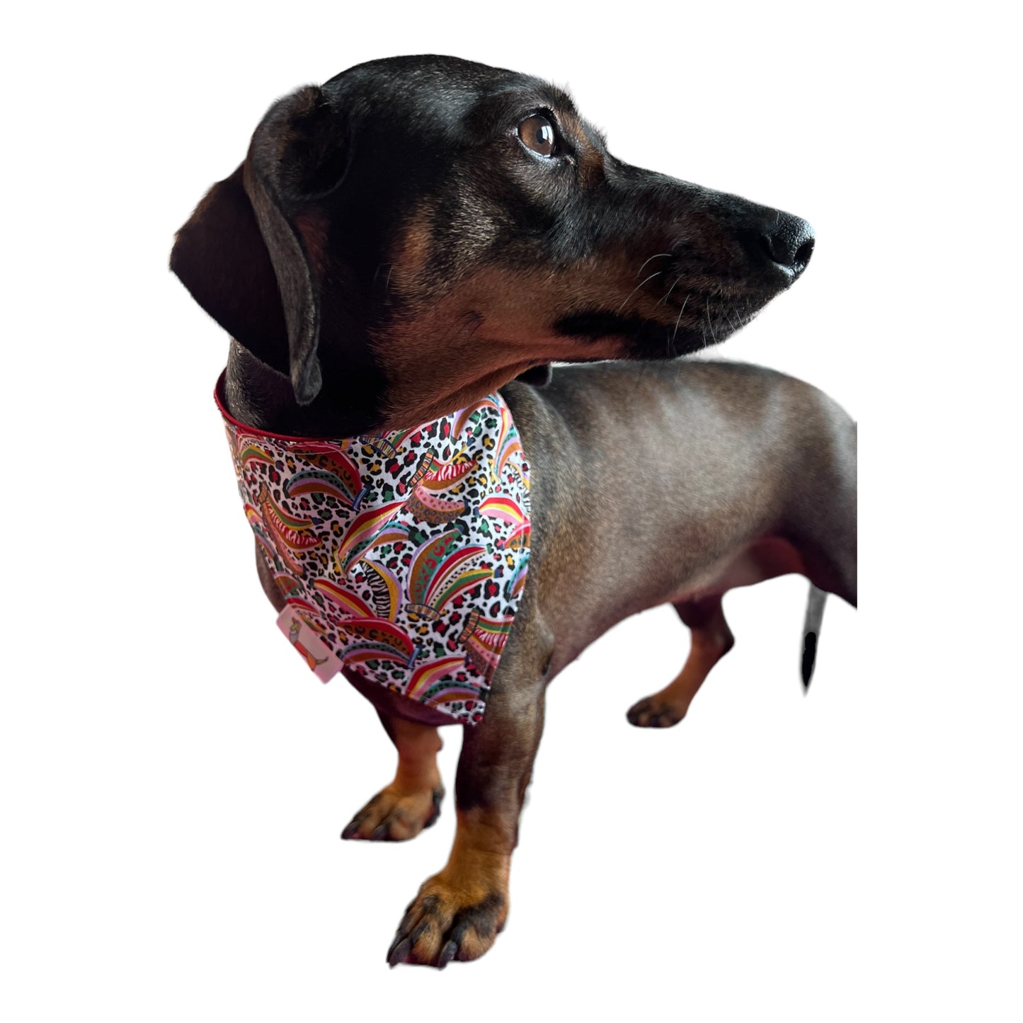 Bandana “Banana”