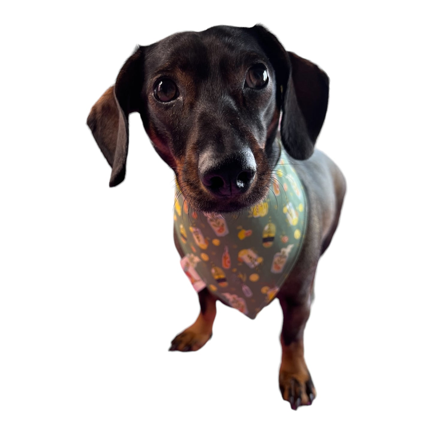 Bandana “Mojito”