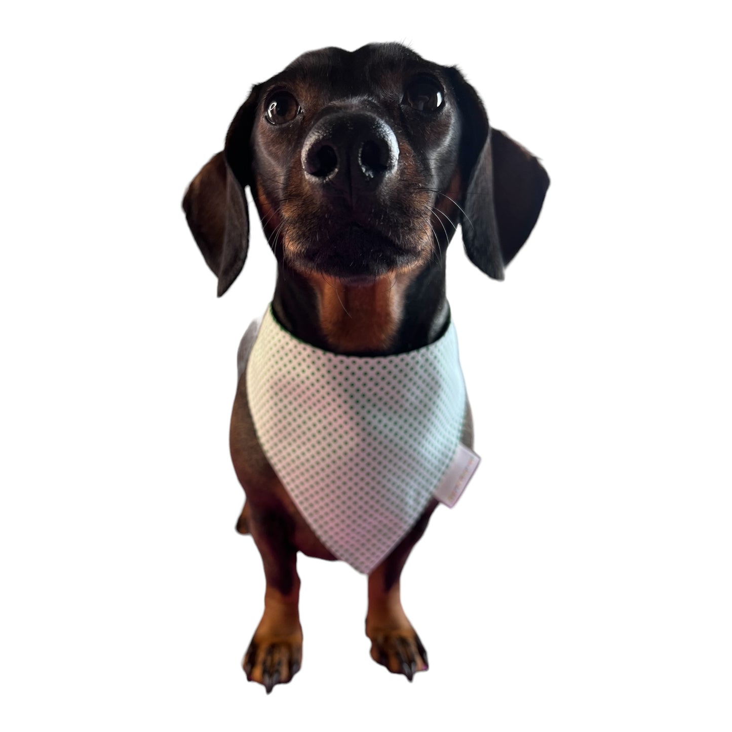 Bandana “Málaga”