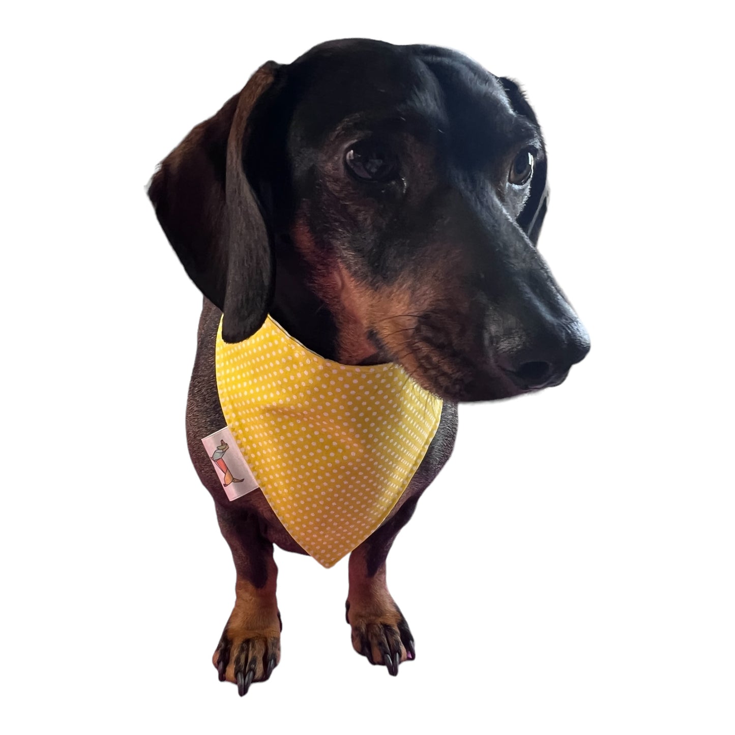 Bandana “Sevilla”