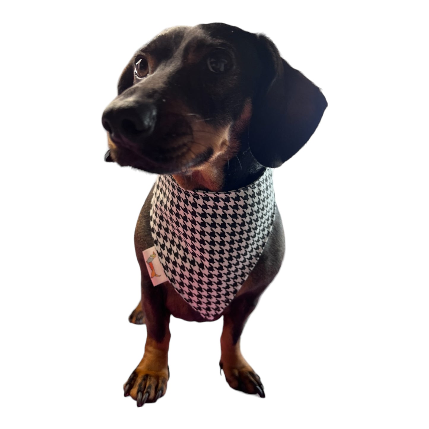 Bandana “El Chulo”