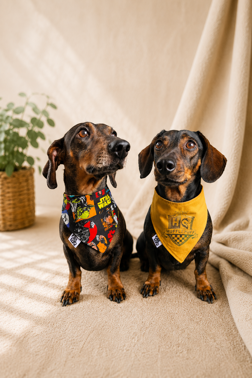 Bandanas