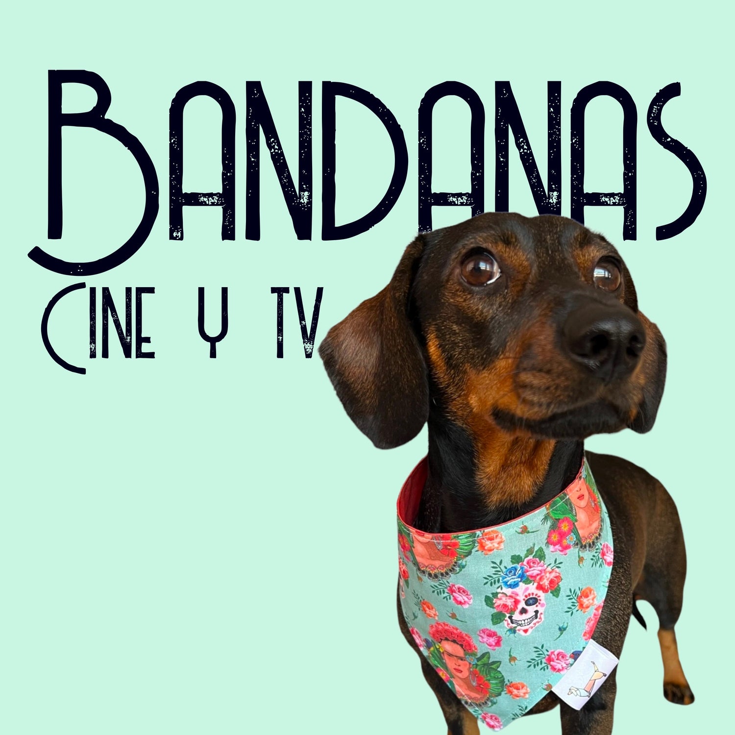 Bandanas Cine y TV