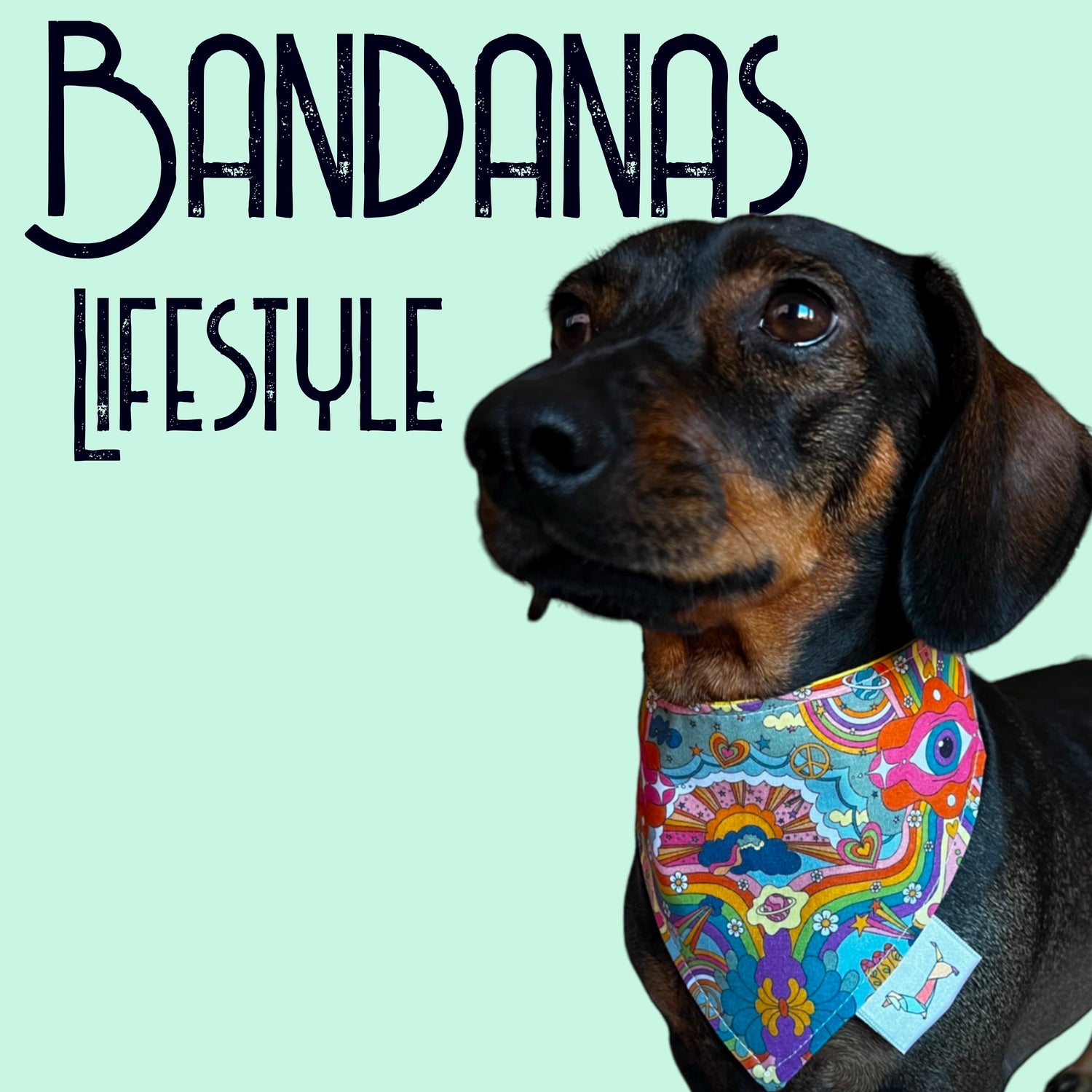 Bandanas Lifestyle