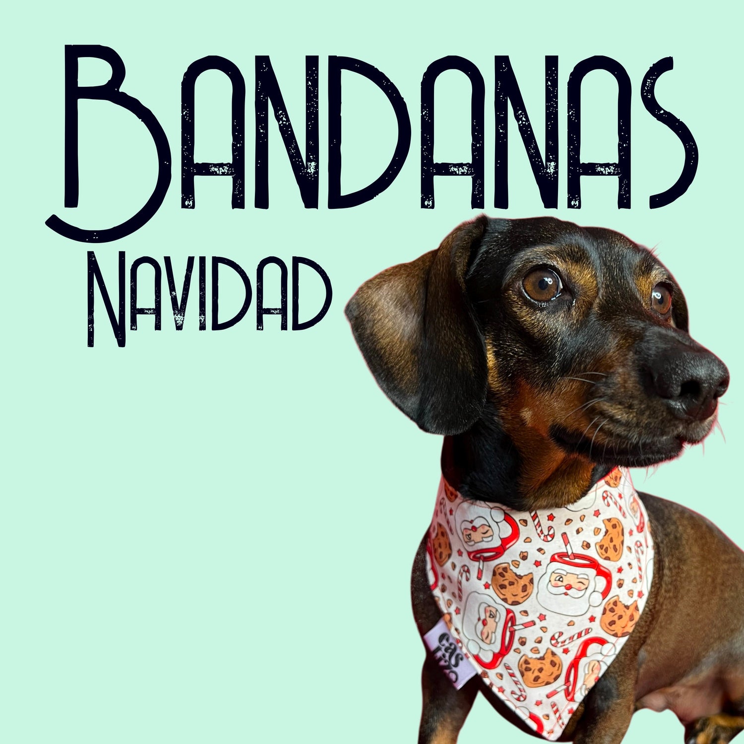 Bandanas Navidad