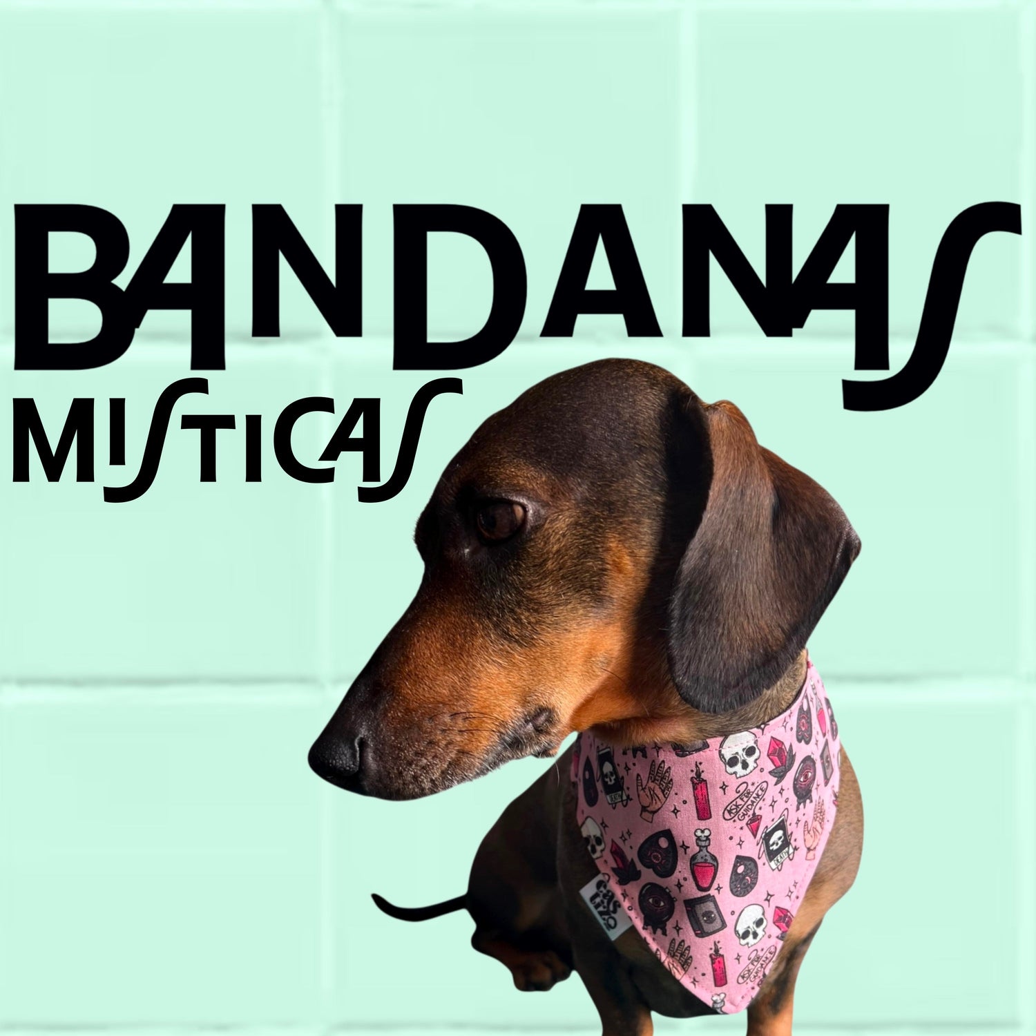 Bandanas Místicas
