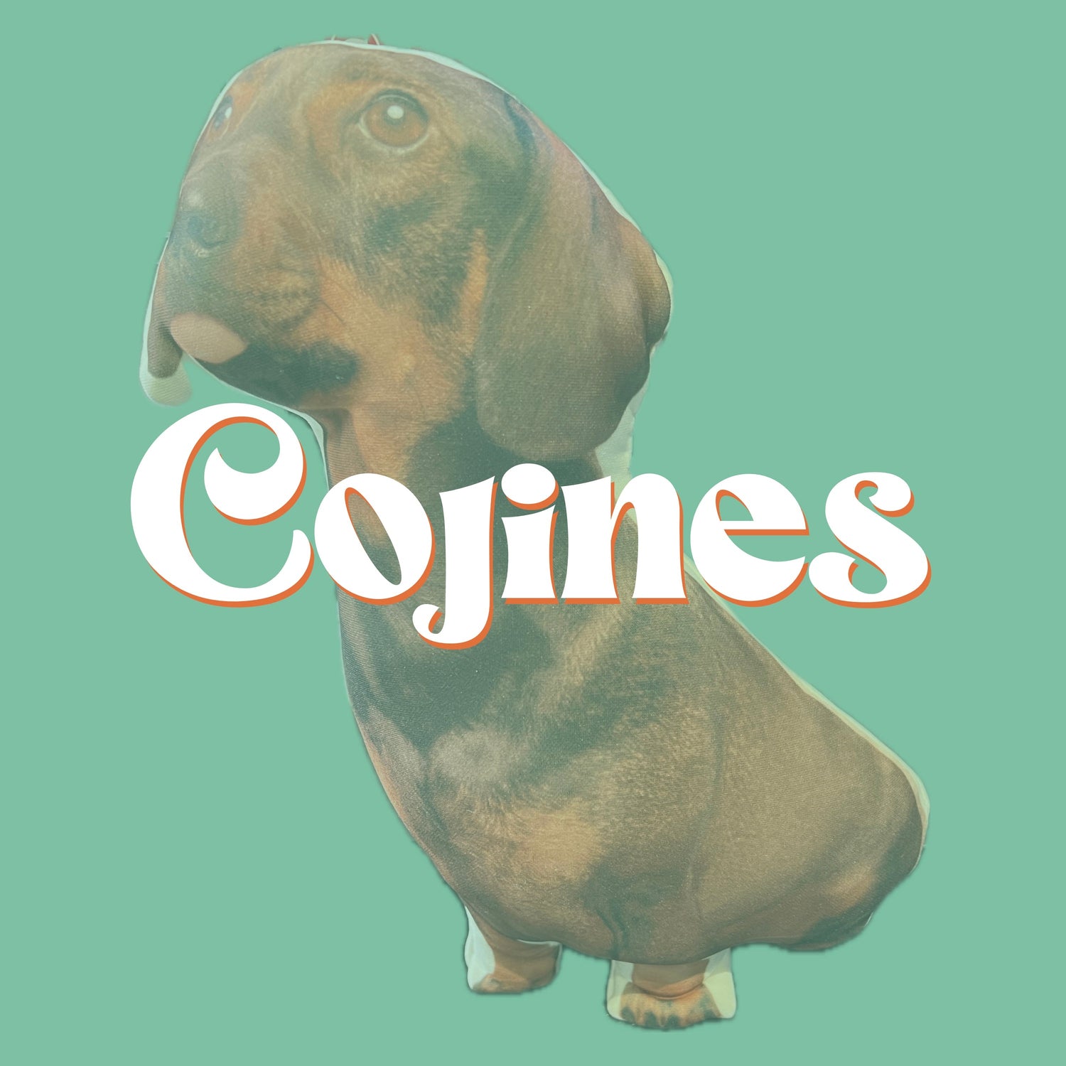 Cojines