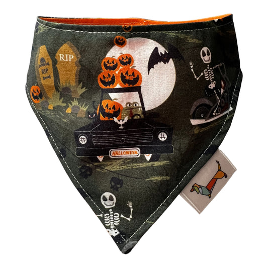 Bandana “Terri-rip-fica”