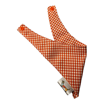 Bandana “Yo soy un Gato”