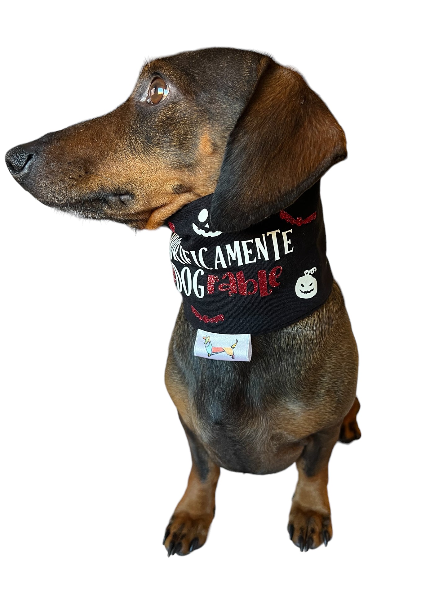 Bufanda  Midi “Terrorificamente Adograble”