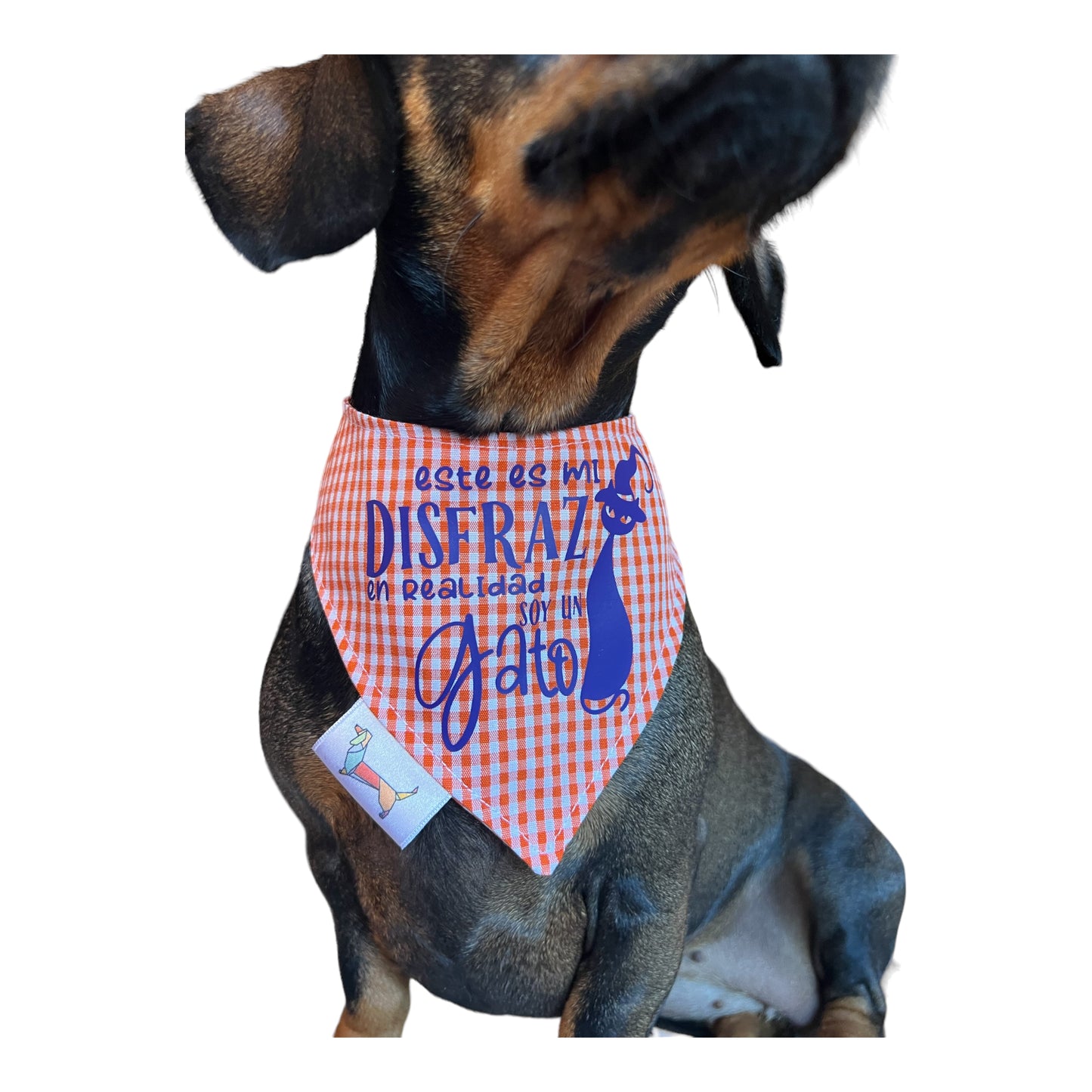 Bandana “Yo soy un Gato”