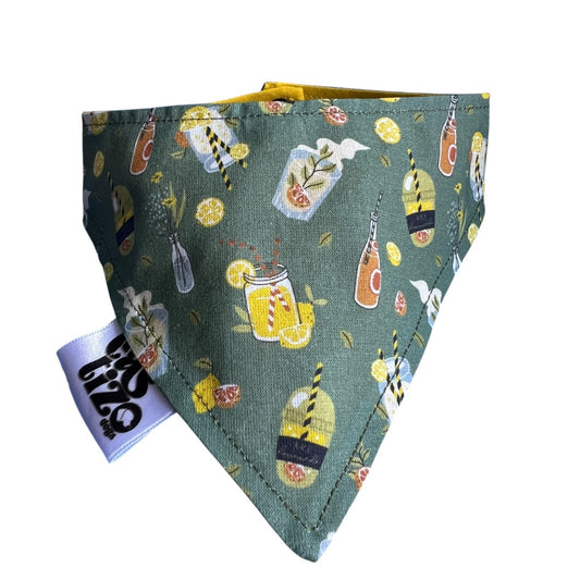 Bandana Reversible Mojito
