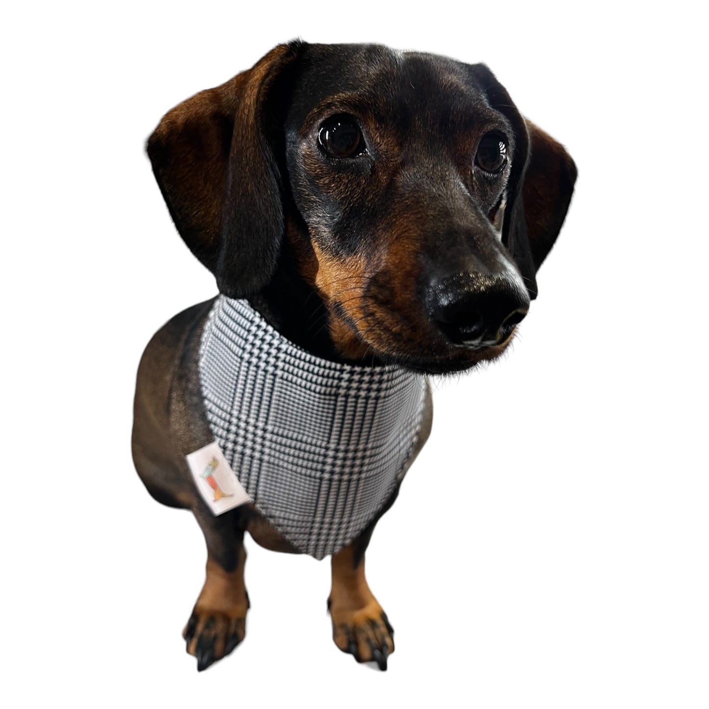 Bandana “Chulapo Madrileño”