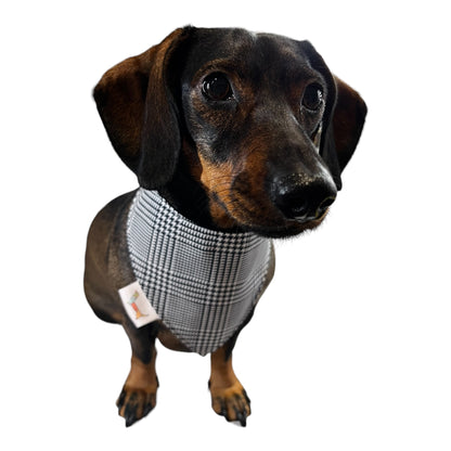 Bandana “Chulapo Madrileño”