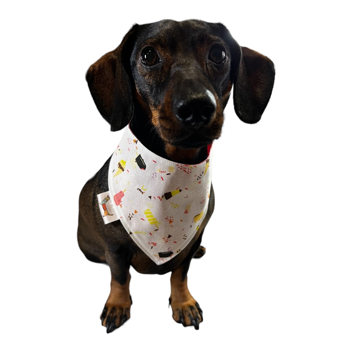 Bandana “Frigo Pie”