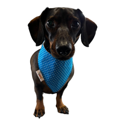 Bandana “Chulapa Madrileña”