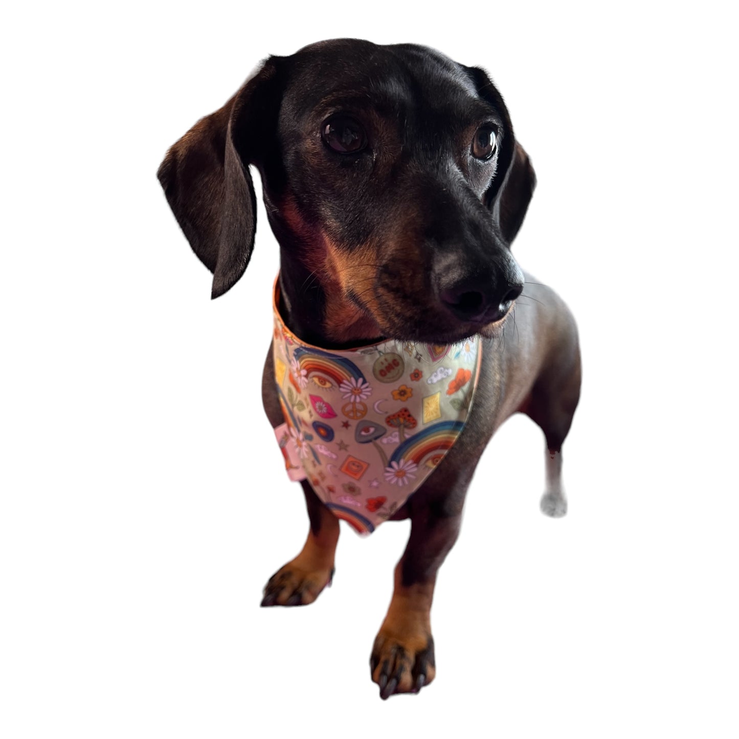 Bandana “OMG”