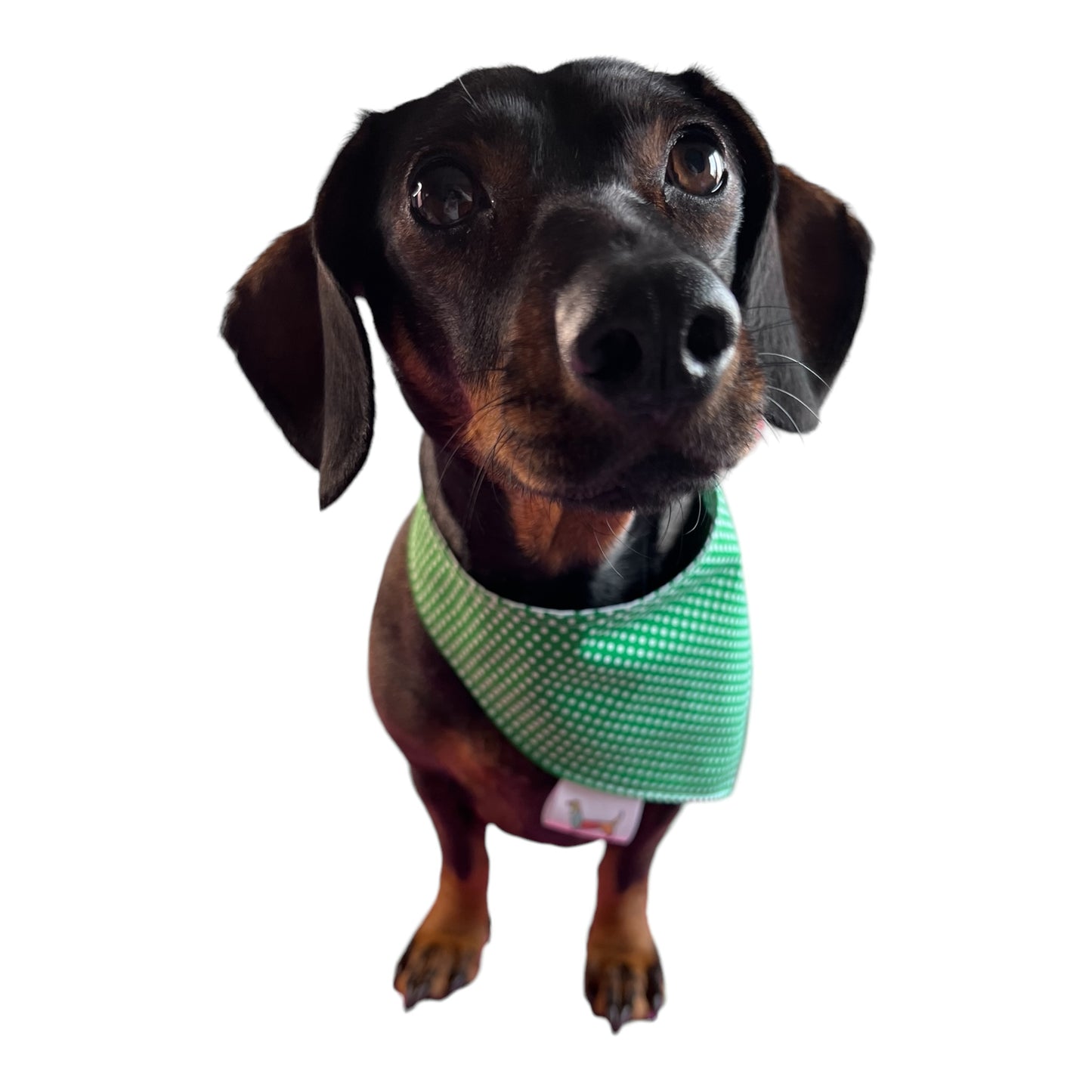 Bandana “Málaga”