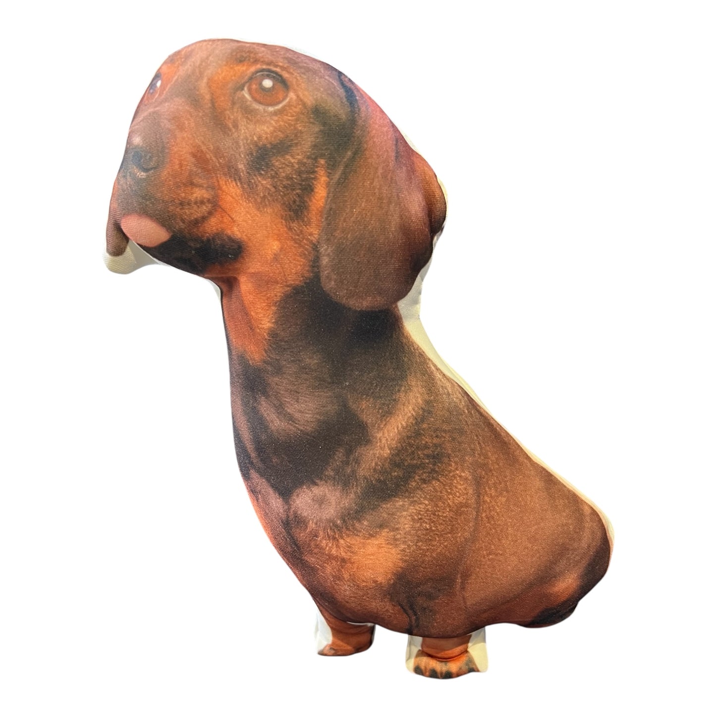 Cojín  “Achuchable”