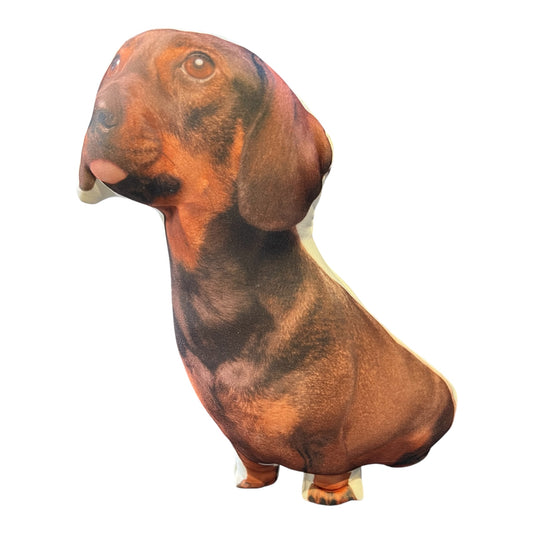 Cojín  “Achuchable”